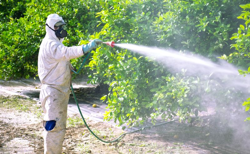 Fumigation Service in Gwinnett County, GA