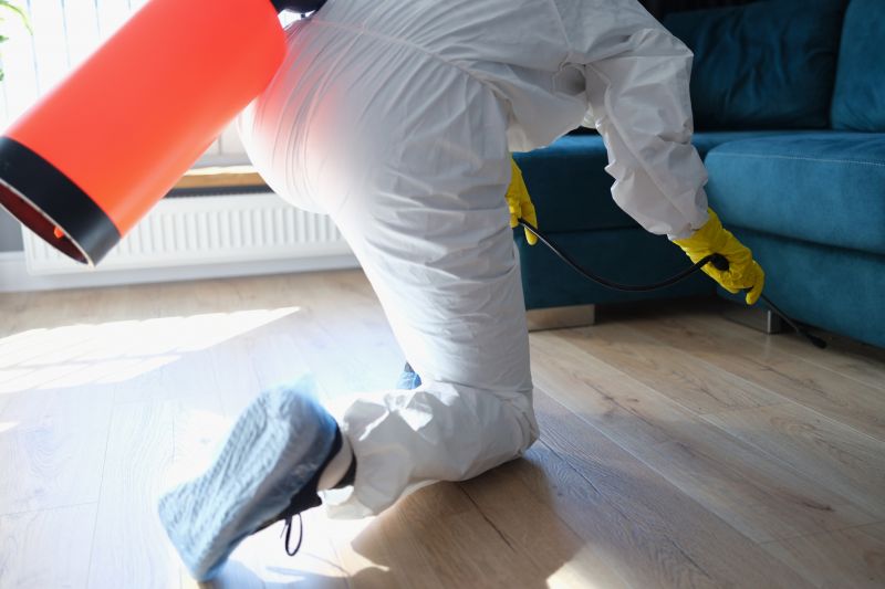 Insect Control Service in Katy, TX
