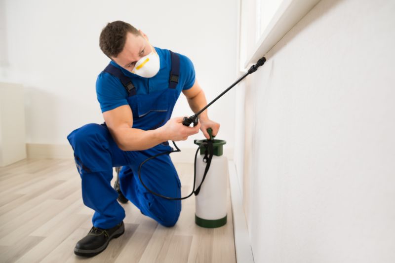Insect Extermination Service in Frisco, TX