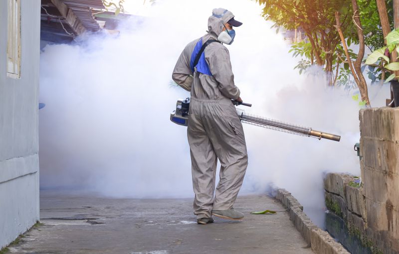 Mosquitoes Pest Control in Denton, TX