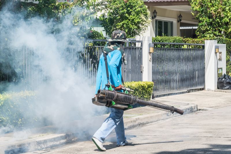 Rat Fumigation Service in Long Island, NY