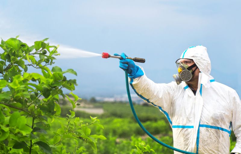 Roach Fumigation in Wilmington, NC