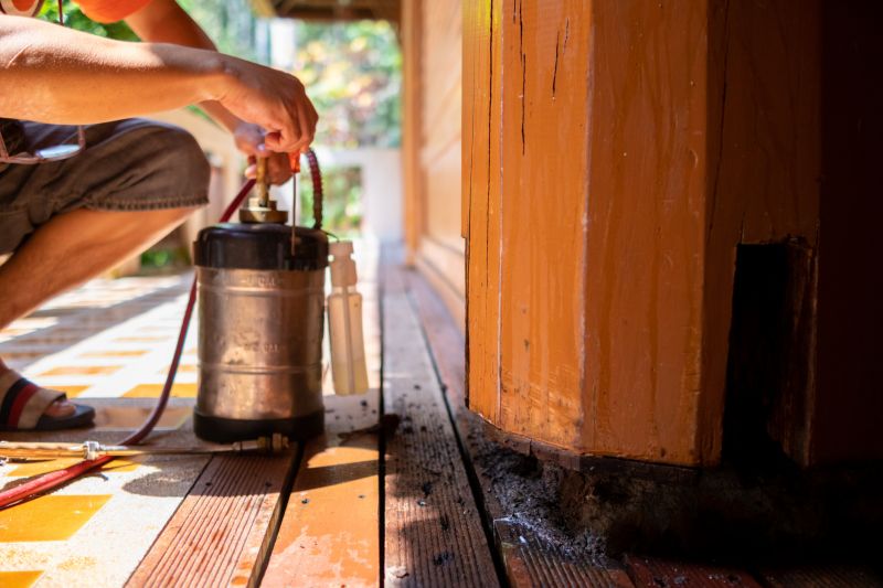 Termite Prevention in Frisco, TX