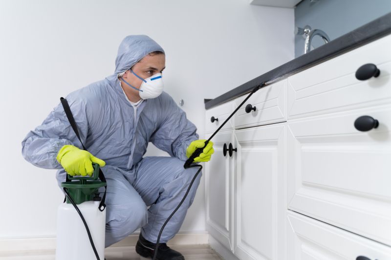 Insect Control Service in Katy, TX