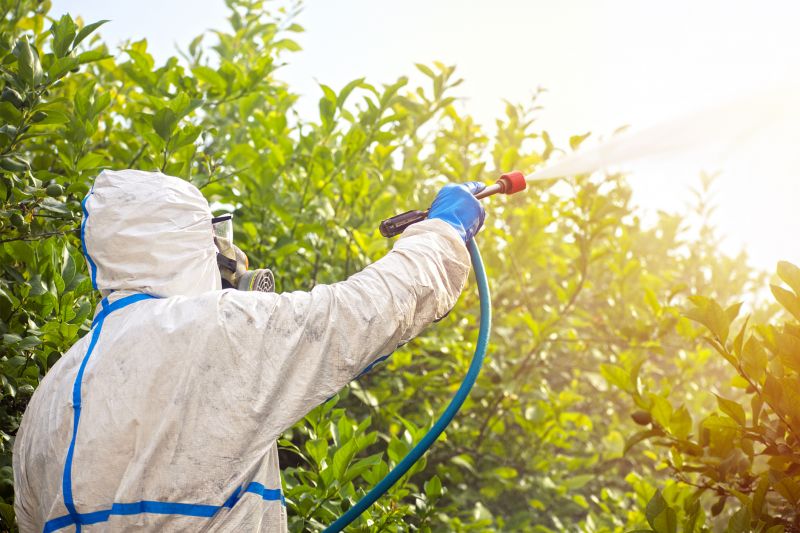 Pest Fumigation Service in Bellingham, WA