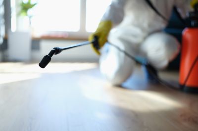 Pest Fumigation Service in Fort Myers, FL