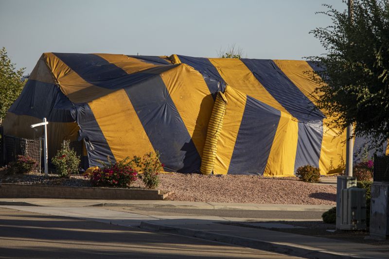 Termite Tenting in Franklin, TN