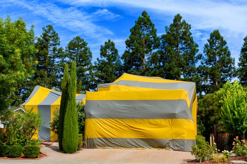 Termite Tenting in Tampa, FL