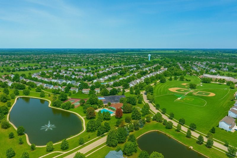 Why Crickets Invade Homes And How To Stop Them